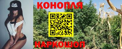 jwh Новоалтайск