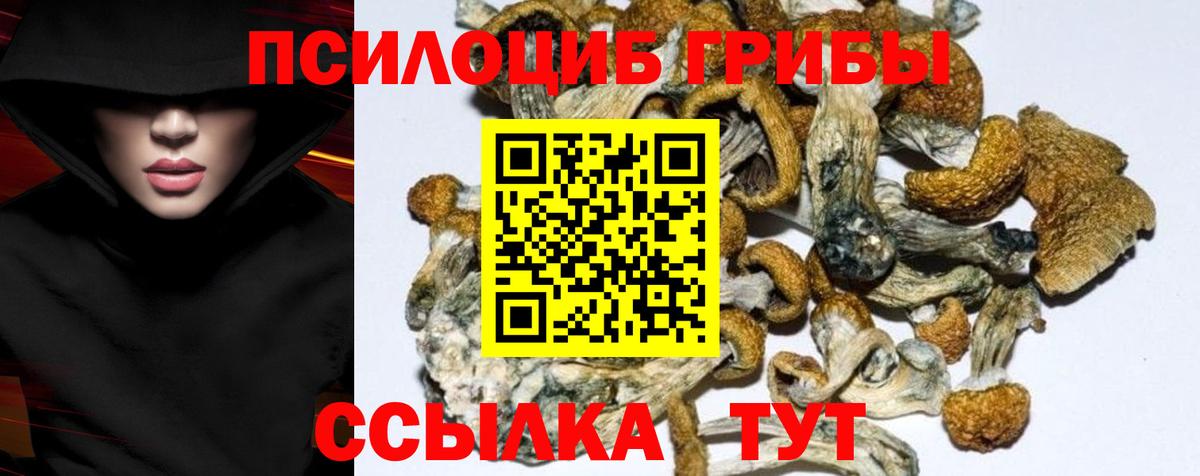 Галлюциногенные грибы GOLDEN TEACHER  Вход с VPN  цены наркотик  Анжеро-Судженск 